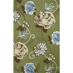 Dynamic Rugs Florence Green Contemporary Rug   845546024673   5 x 8 