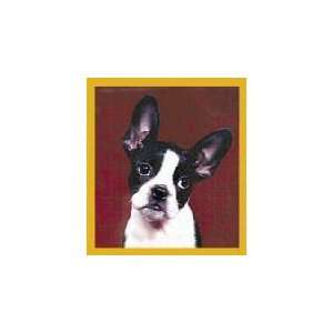  New Magnetic Bookmark Boston Terrier High Quality Modern 