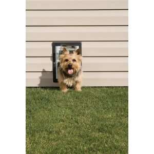 Petsafe® Premium Wall Entry Aluminum Dog Door SMALL  