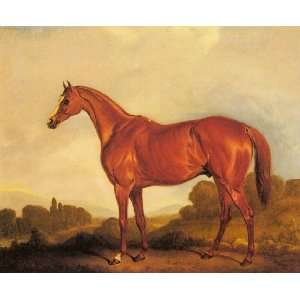   name A Portrait of the Racehorse Harkaway, the Winner of Goodwood, By