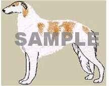   dog bichon frise bloodhound border collie border terrier borzoi