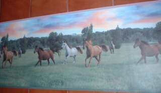 BEAUTIFUL HORSES COUNTRY 18 inch Wallpaper bordeR Wall  