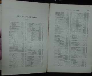 1888 Sowerby ENGLISH BOTANY 183 H/C Plates COMPOSITAE  