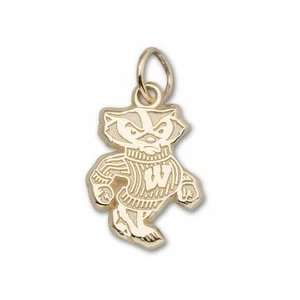  Wisconsin Badgers 1/2 Bucky Badger Charm   Gold Plated 