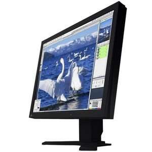  Eizo 21 Inch LCD Monitor (CG211 BK)