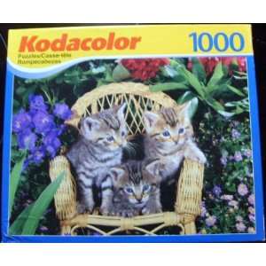  Bitty Kitties 1000 Piece Puzzle Toys & Games