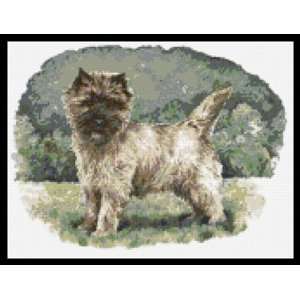  Cairn Terrier Dog Counted Cross Stitch Kit Everything 