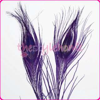 50pc Dyed Peacock Tail Feathers w/ Eyes Purple Crafts Decoration Room 