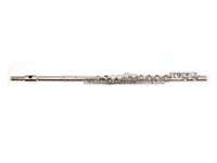 Brand new C key flute with hard case and luxury soft interior.