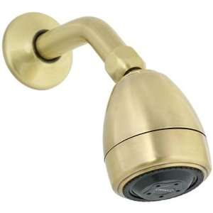 Cifial 289.890.509.HO Multi Function Shower Head in French Bronze 289 