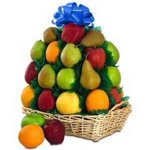 Fruit Lovers Delight Basket  Grocery & Gourmet Food