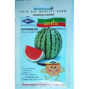  Watermelon Vegetable Seeds   1 Pack 30 Approximately Seed 
