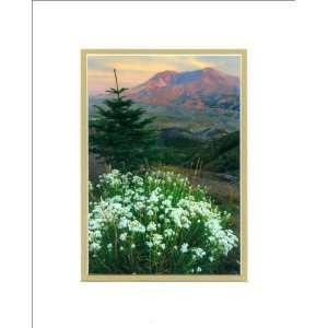 Mt. St. Helens National Volcanic Monument, Washington Print, 8 x 10 in 