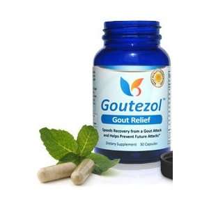  Gout Natural Treatment   Supplement Health & Personal 