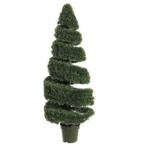  5? Spiral Cedar Tree in Pot Green