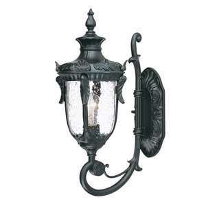  Acclaim Lighting 3761ST Baton Rouge Small Outdoor Sconce 