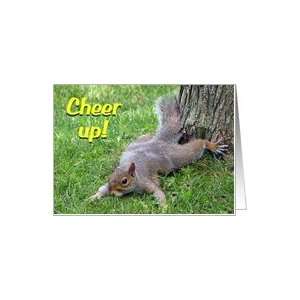 Cheer Up Squirrel Card