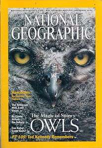 National Geographic December 2002   The Magic of Snowy Owls  