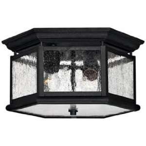  Hinkley Raley Collection 13 Wide Outdoor Ceiling Light 