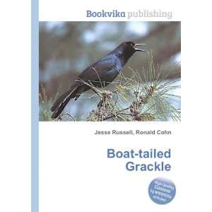  Boat tailed Grackle Ronald Cohn Jesse Russell Books