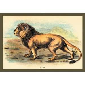  Lion 24x36 Giclee