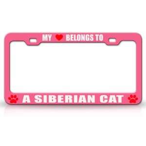  MY HEART BELONGS TO A SIBERIAN Cat Pet Auto License Plate 