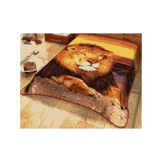  Providencia PF1008 Lion Blanket   Full Size   71 X 87 Inch 