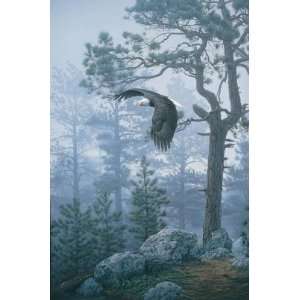  Daniel Smith   Shrouded Forest Bald Eagle Rigiclee