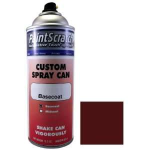  12.5 Oz. Spray Can of Moisette Metallic Touch Up Paint for 