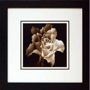  Gilda 27x27 framed contemporary floral art photography by 