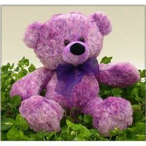  15.5 Cuddle Style Purple Bear Case Pack 24 Toys & Games