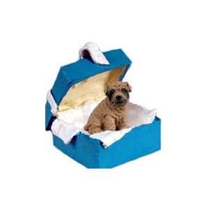  Shar Pei Blue Gift Box Dog Ornament   Brown