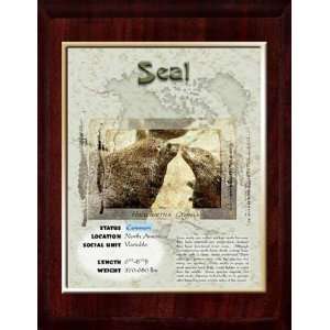 North America (Seal) Animal Planet Products 10 x 13 Plaque with 8 x 