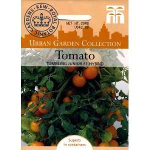   Garden Tomato Tumbling Tom Junior Seed Packet Patio, Lawn & Garden