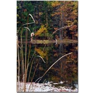  Serene Sylvan Pond by Kurt Shaffer, Canvas Art   24 x 16 