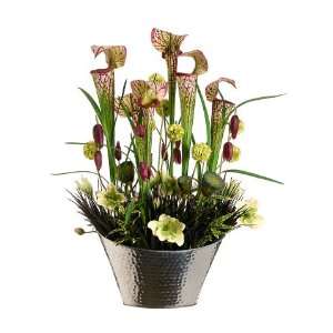  29hx20wx16l Pitch/Lily/Helleborus/Pod in Aluminum 