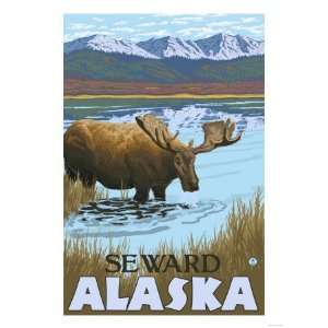  Moose Drinking at Lake, Seward, Alaska Giclee Poster Print 