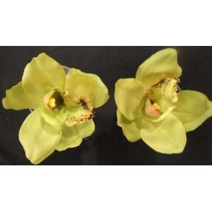  Tanday (Green) Exotic Cymbidium Orchid Flower Hair Clip (1 