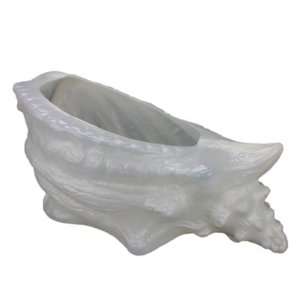  Large Plastic Conch Shell Planter Classic Union Products 