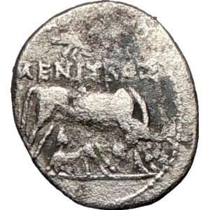   Illyria 229BC Cow Authentic Ancient Silver Greek Coin 