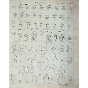   Encyclopaedia Britannica 1801 Drawing Face Nose Eyes