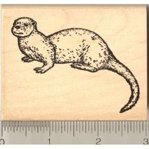  Large Sea Otter Rubber Stamp Arts, Crafts & Sewing