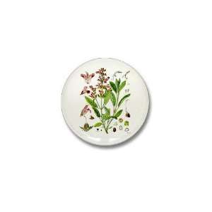  Sage Botanical Botanical Mini Button by  Patio 
