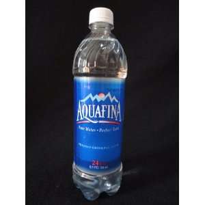  Secret Can Safe AQUFINA Water Bottle 