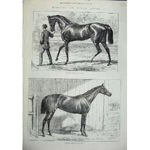 Epsom Races Horses 1878 Sefton Derby Jannette Oaks