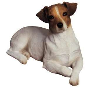   Size Jack Russell Terrier, Smooth, White/Brown 