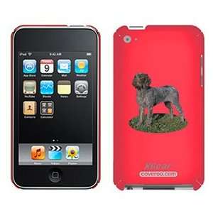  Wirehair Pointer Griff on iPod Touch 4G XGear Shell Case 