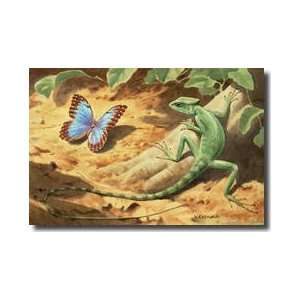  This Art Depicts A Helmeted Lizard Hunting A Morpho 