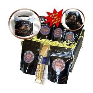   rotties, rottie owner, rottweiler puppy   Coffee Gift Baskets   Coffee