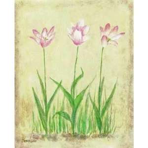  Rosy Tulips 2 Poster Print